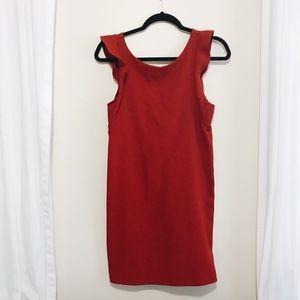 FINAL PRICE-Anthropologie Ruffle Sleeve Shift